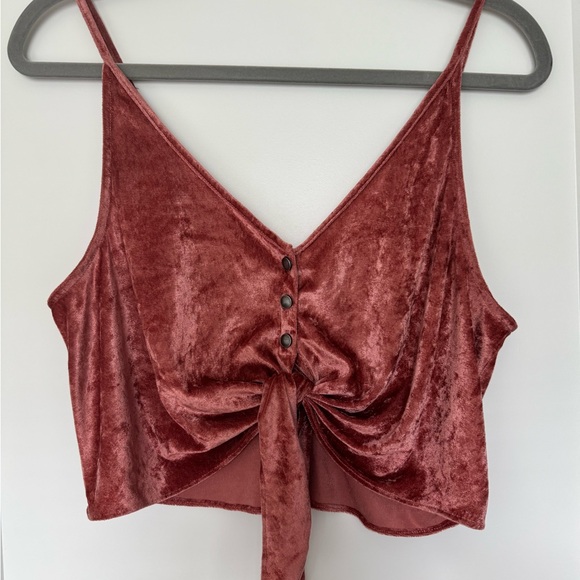 Free People Tops - Free People Muted Pink Sleeveless Velvet Tie Front Crop Camisole